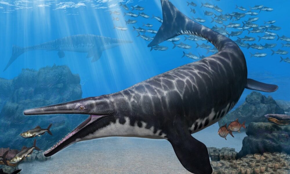 recently recognized mosasaur was a fish-hunting beast - Apsters Media